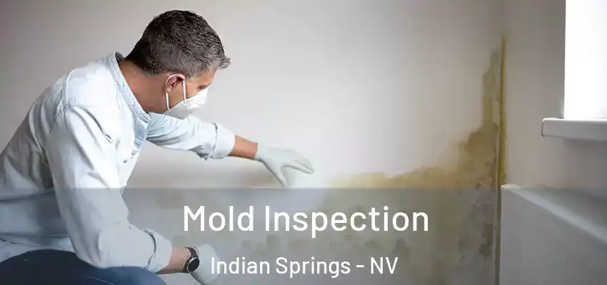  Mold Inspection Indian Springs - NV
