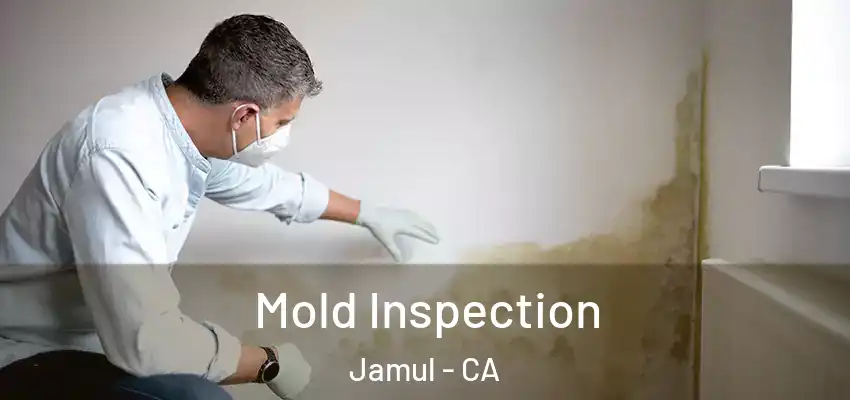  Mold Inspection Jamul - CA
