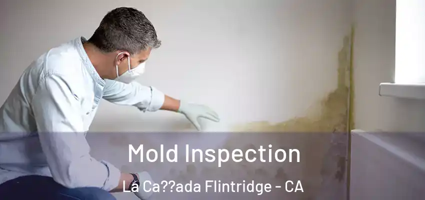  Mold Inspection La Ca??ada Flintridge - CA