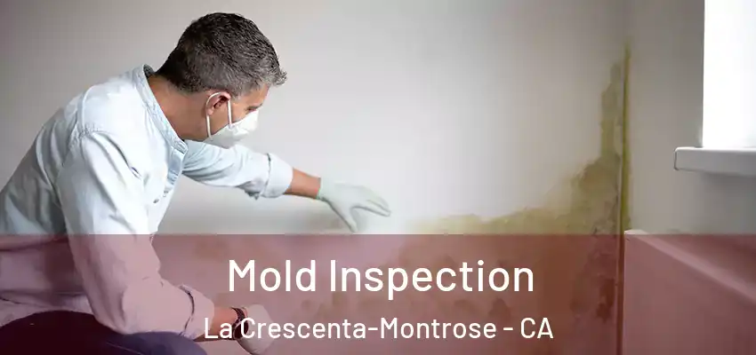  Mold Inspection La Crescenta-Montrose - CA