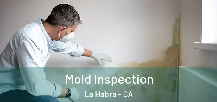  Mold Inspection La Habra - CA