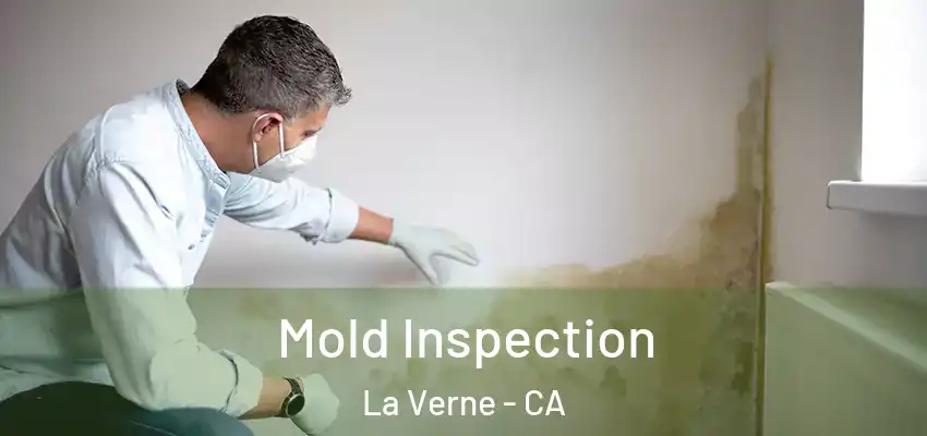 Mold Inspection La Verne - CA