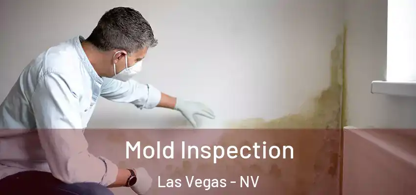  Mold Inspection Las Vegas - NV