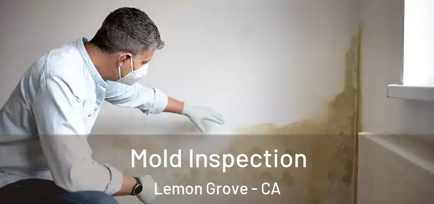  Mold Inspection Lemon Grove - CA