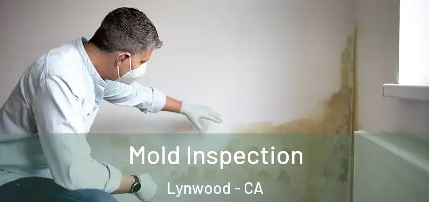 Mold Inspection Lynwood - CA