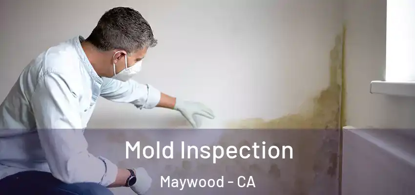  Mold Inspection Maywood - CA