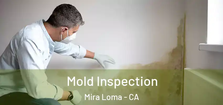 Mold Inspection Mira Loma - CA