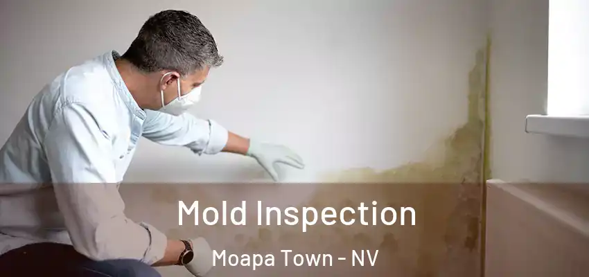  Mold Inspection Moapa Town - NV