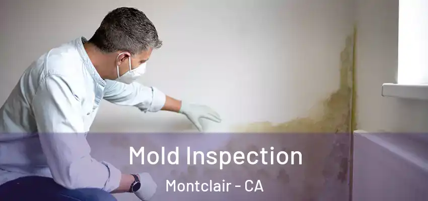  Mold Inspection Montclair - CA