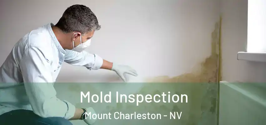  Mold Inspection Mount Charleston - NV