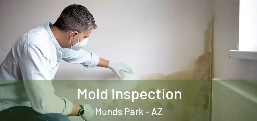  Mold Inspection Munds Park - AZ