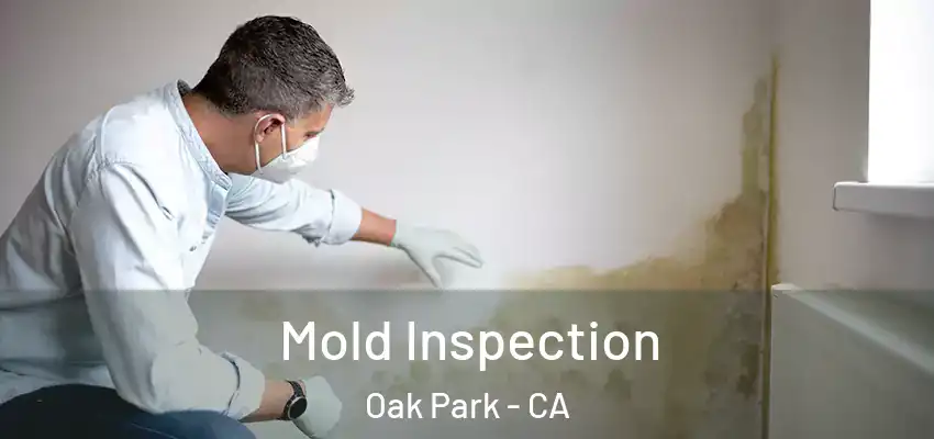  Mold Inspection Oak Park - CA