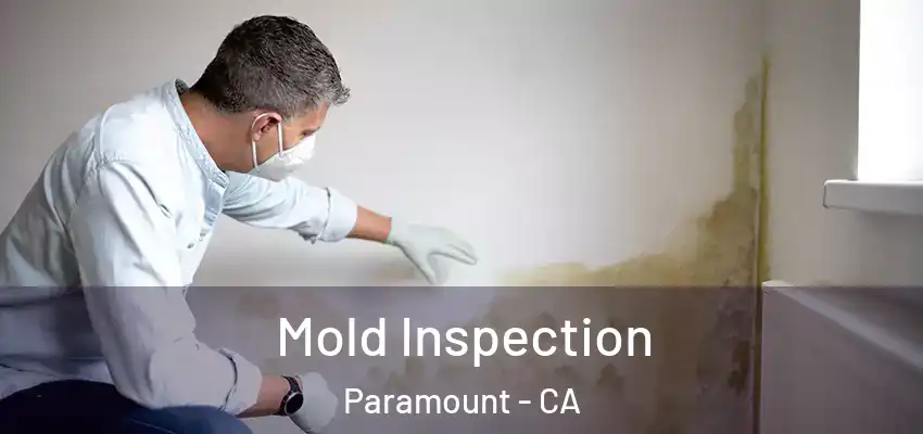 Mold Inspection Paramount - CA