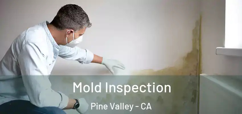 Mold Inspection Pine Valley - CA