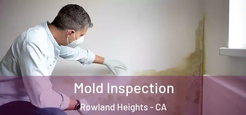  Mold Inspection Rowland Heights - CA