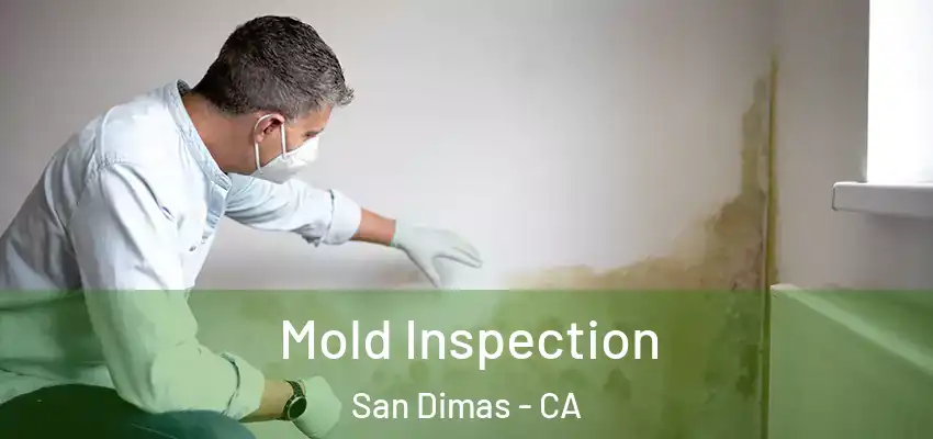  Mold Inspection San Dimas - CA
