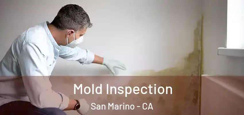  Mold Inspection San Marino - CA
