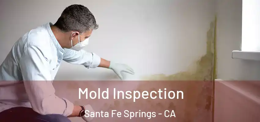  Mold Inspection Santa Fe Springs - CA