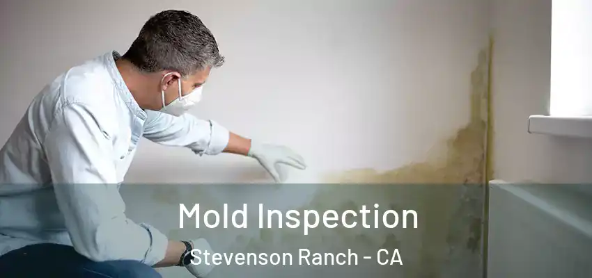 Mold Inspection Stevenson Ranch - CA