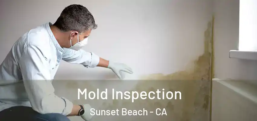  Mold Inspection Sunset Beach - CA