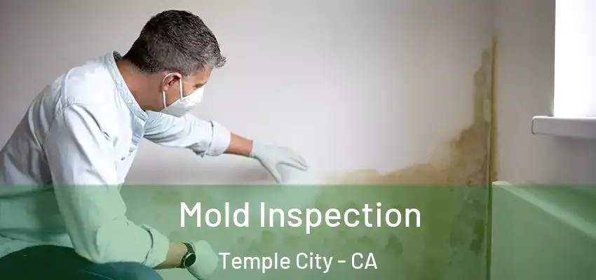  Mold Inspection Temple City - CA