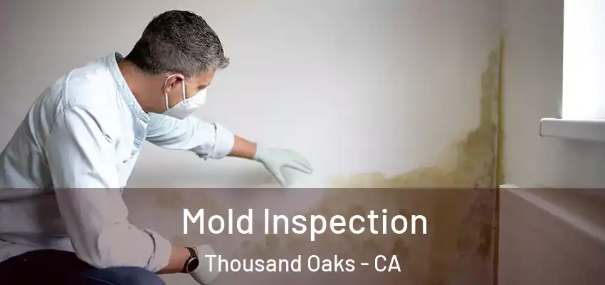 Mold Inspection Thousand Oaks - CA