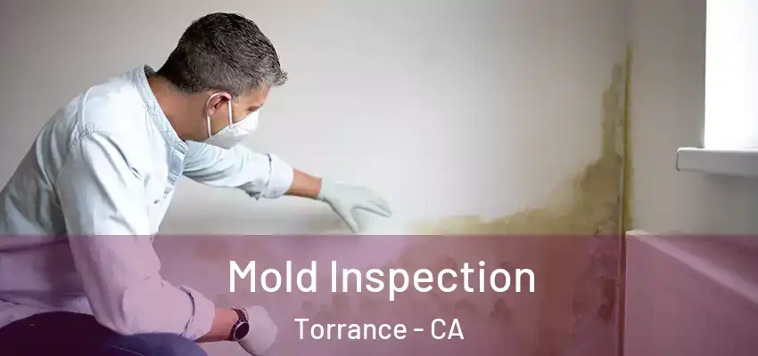  Mold Inspection Torrance - CA