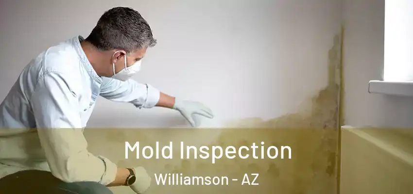  Mold Inspection Williamson - AZ
