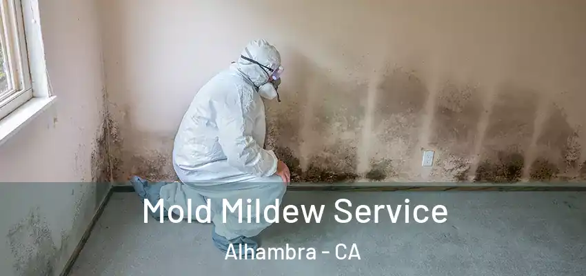  Mold Mildew Service Alhambra - CA