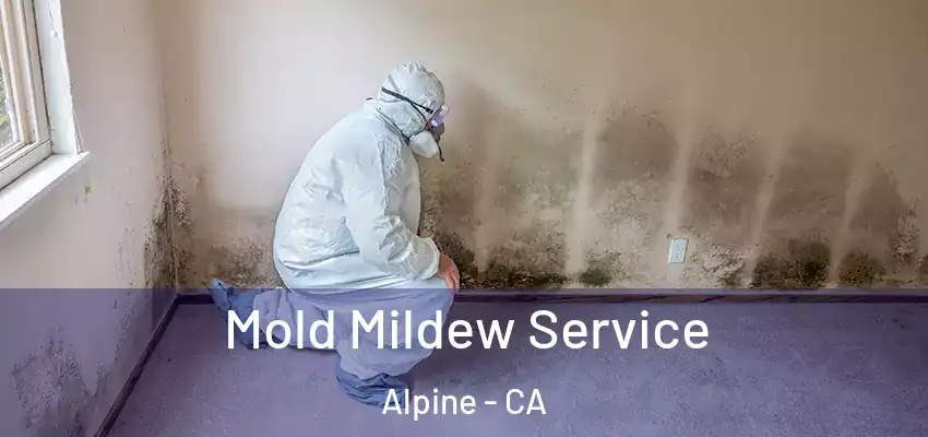  Mold Mildew Service Alpine - CA