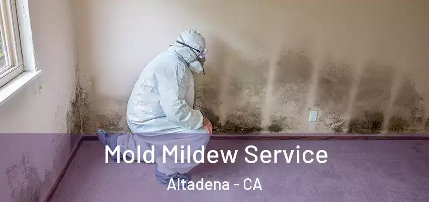  Mold Mildew Service Altadena - CA