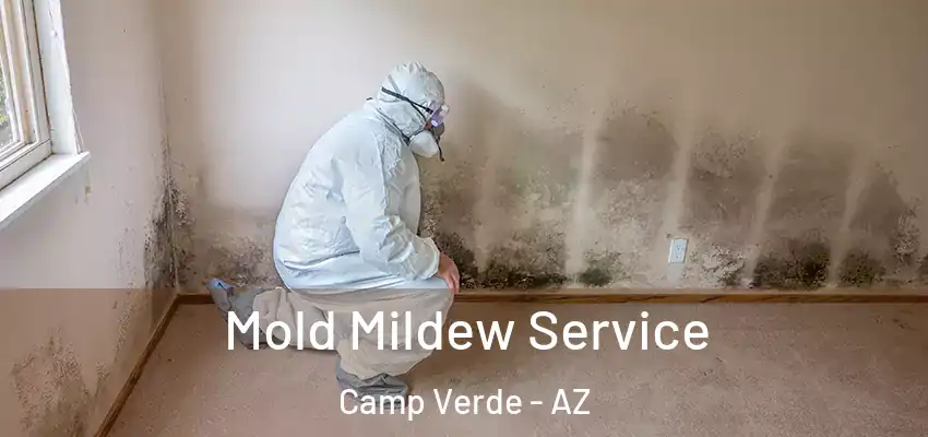  Mold Mildew Service Camp Verde - AZ
