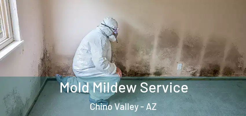  Mold Mildew Service Chino Valley - AZ