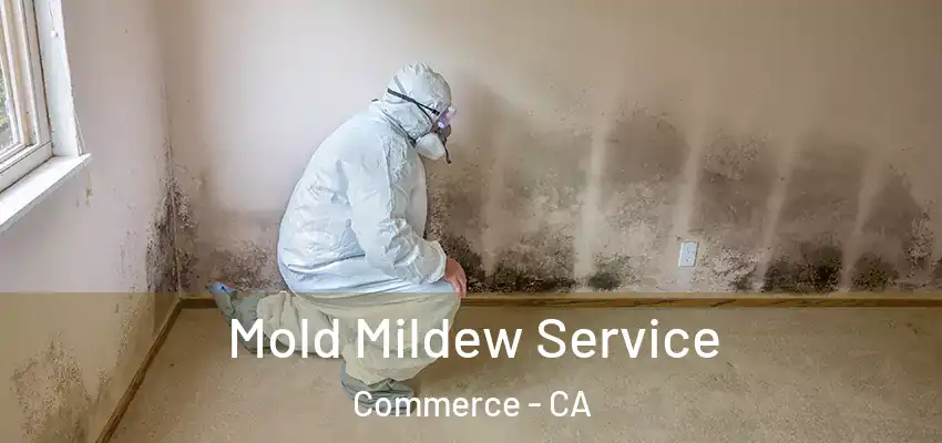  Mold Mildew Service Commerce - CA