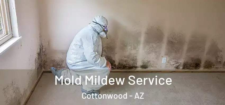  Mold Mildew Service Cottonwood - AZ