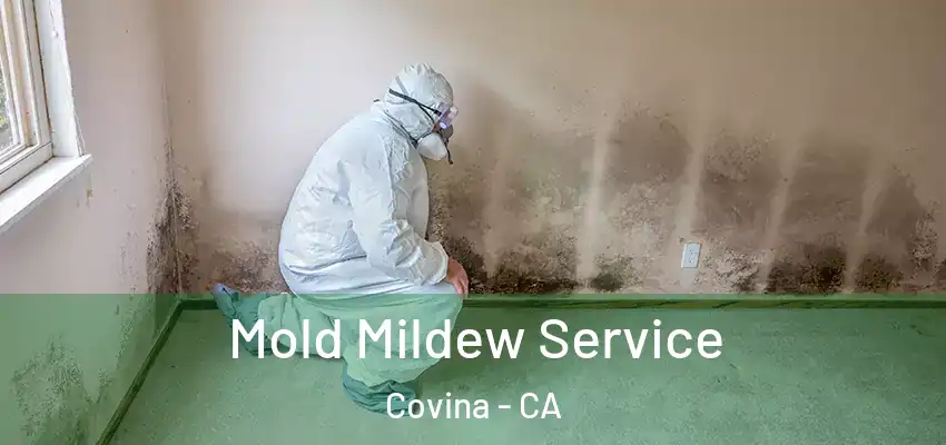  Mold Mildew Service Covina - CA
