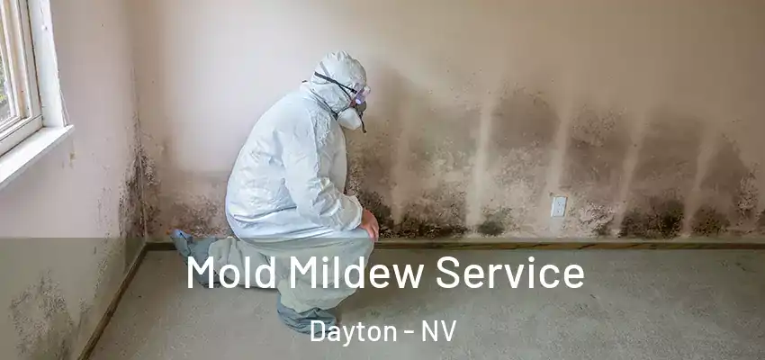 Mold Mildew Service Dayton - NV