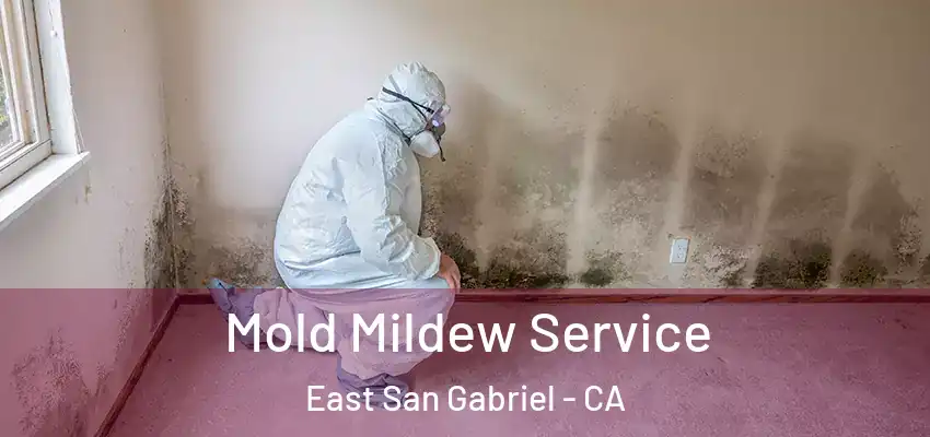  Mold Mildew Service East San Gabriel - CA