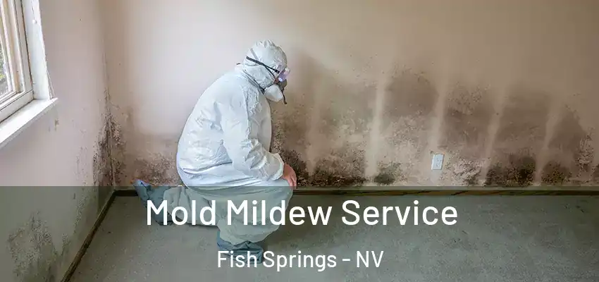  Mold Mildew Service Fish Springs - NV