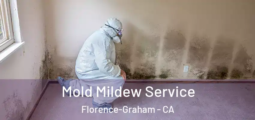  Mold Mildew Service Florence-Graham - CA