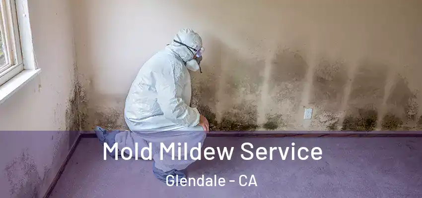  Mold Mildew Service Glendale - CA