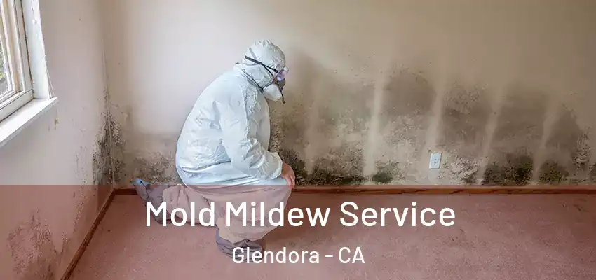  Mold Mildew Service Glendora - CA