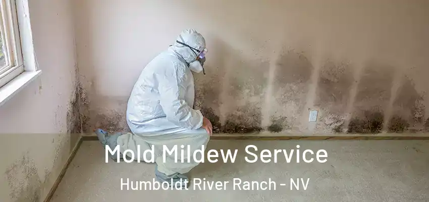  Mold Mildew Service Humboldt River Ranch - NV