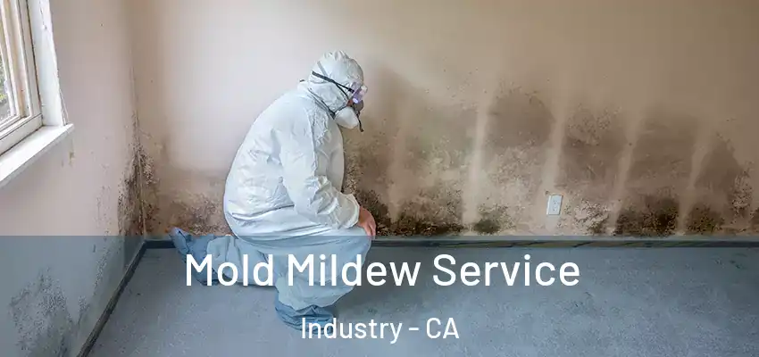  Mold Mildew Service Industry - CA