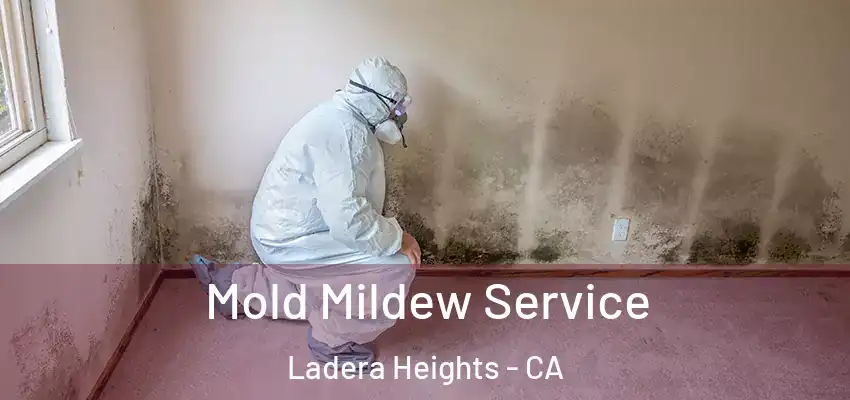  Mold Mildew Service Ladera Heights - CA