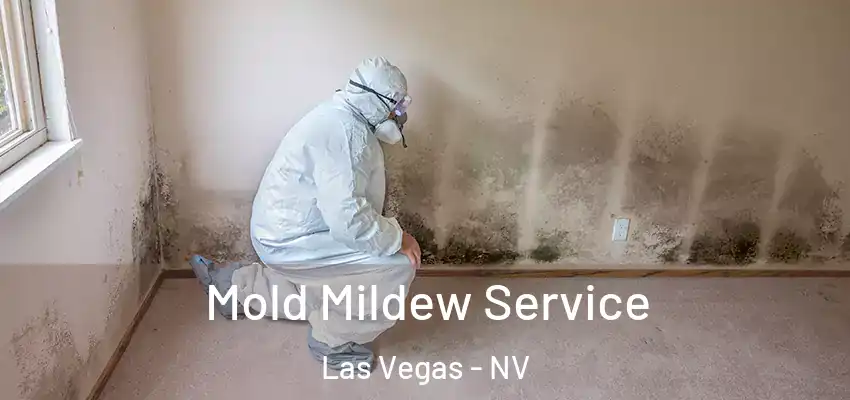  Mold Mildew Service Las Vegas - NV