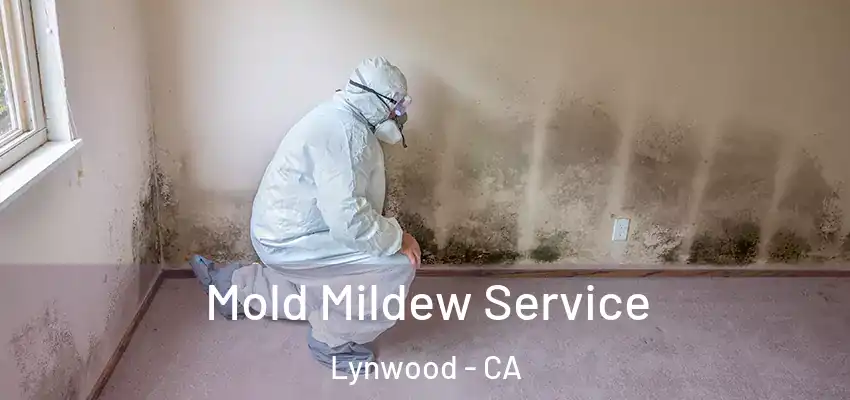  Mold Mildew Service Lynwood - CA