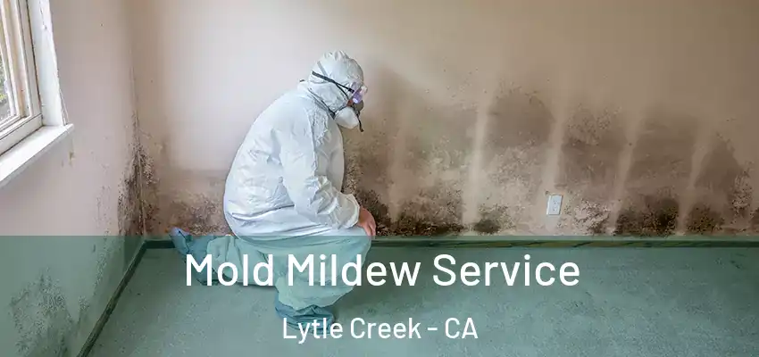  Mold Mildew Service Lytle Creek - CA
