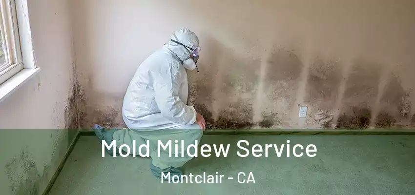 Mold Mildew Service Montclair - CA