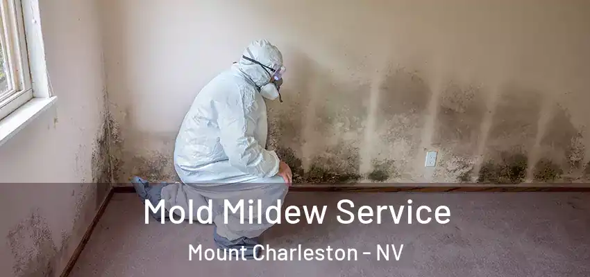  Mold Mildew Service Mount Charleston - NV